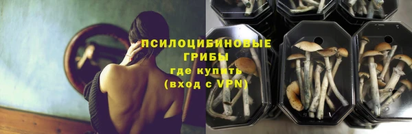 мяу мяу мука Богданович