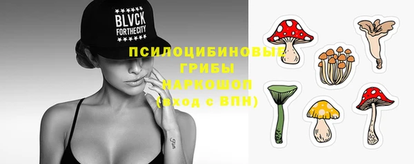 первитин Богородск