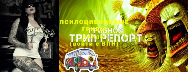 первитин Богородск