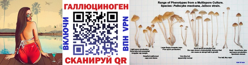 дарнет шоп Славгород Галлюциногенные грибы прущие грибы