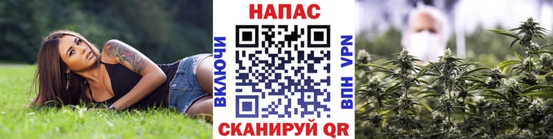 Бошки Шишки OG Kush  Славгород 